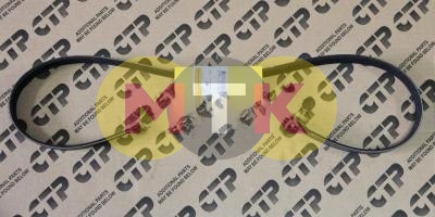 2414981 ремень водяного насоса CATERPILLAR, CTP COSTEX