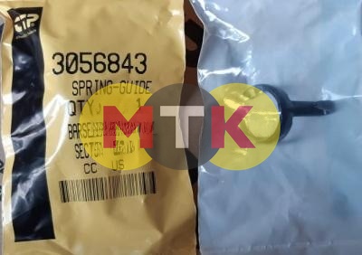 3056843, 6N6872 пружина толкателя CATERPILLAR, CTP COSTEX