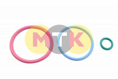 2481394 набор колец форсунки PERKINS 2306, 2506, CTP COSTEX