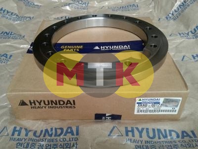 XKAQ-00177 cтопорная шайба HYUNDAI R290, HYUNDAI