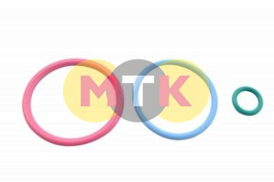 2481394 набор колец форсунки PERKINS 2306, 2506, CTP COSTEX